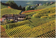 Agriculture in Piedmont